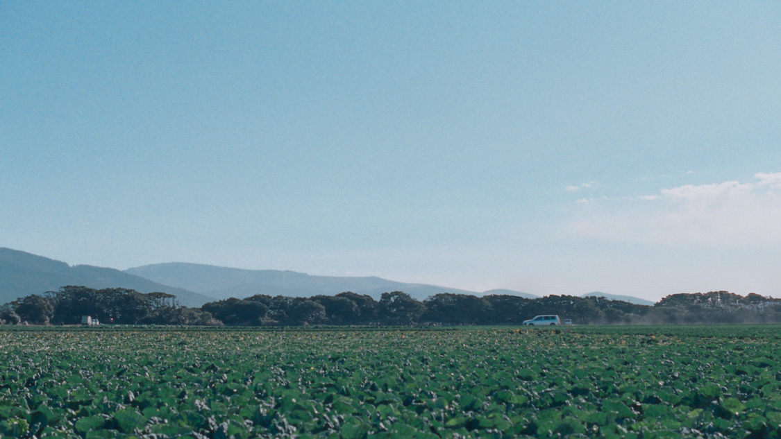 カロリーメイト新TV-CM「⻘いカロリーメイト」篇60秒／場面写真