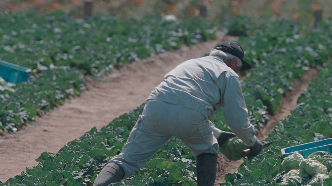 カロリーメイト新TV-CM「⻘いカロリーメイト」篇60秒／場面写真
