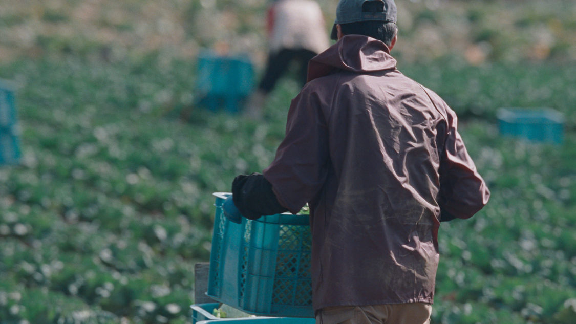 カロリーメイト新TV-CM「⻘いカロリーメイト」篇60秒／場面写真