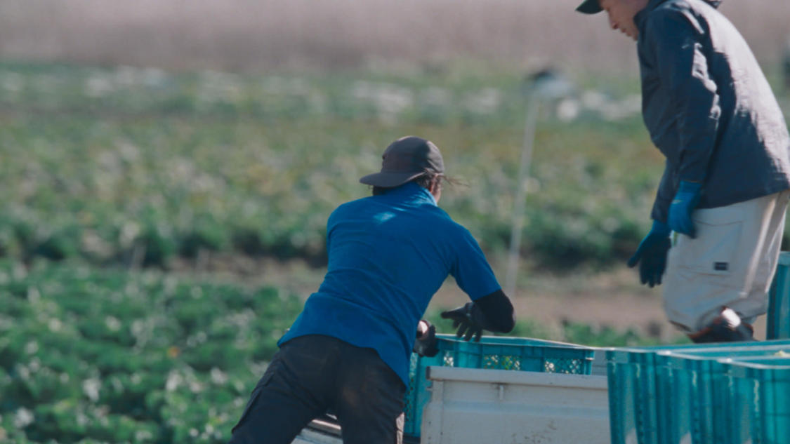 カロリーメイト新TV-CM「⻘いカロリーメイト」篇60秒／場面写真