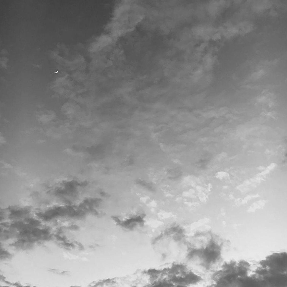 リリスリバース「ね。リグレット」