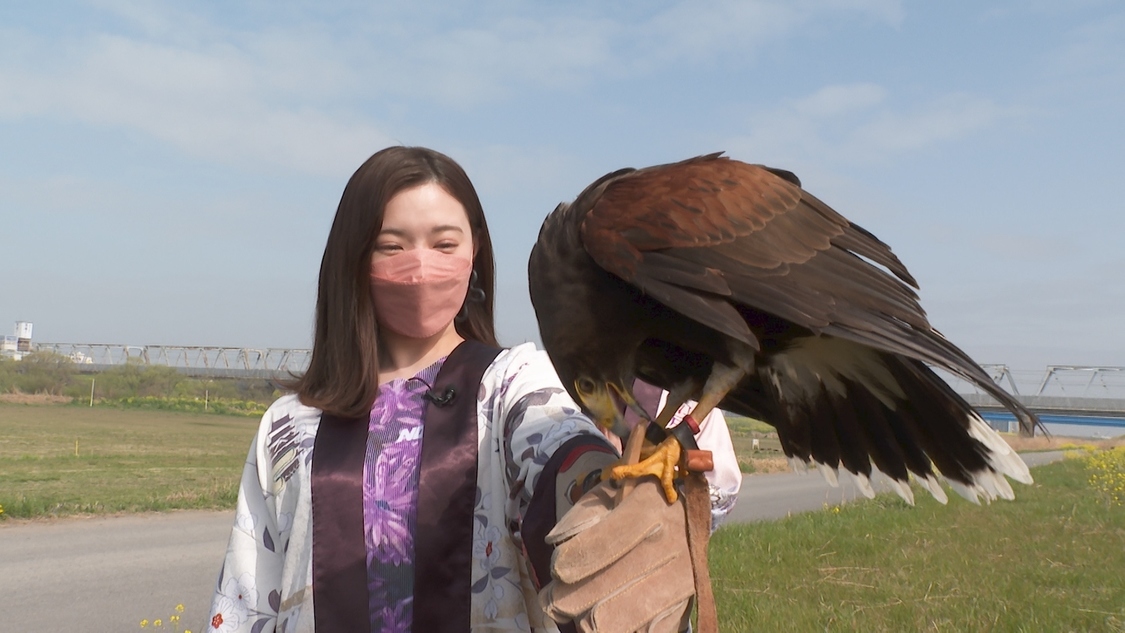 『ぐるり東京 江戸散歩』より