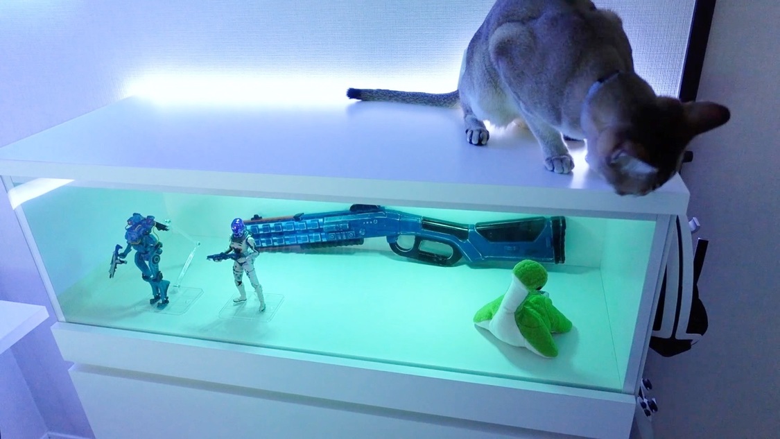 貴島明日香 YouTubeキャプチャ