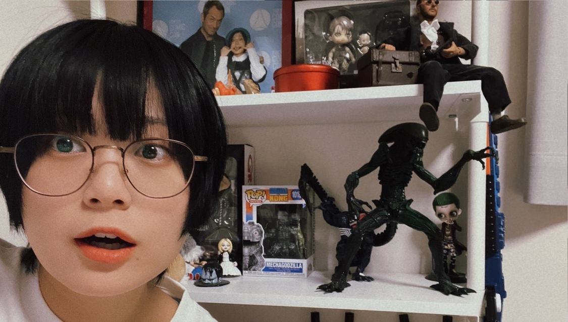 ほんの一部のフィギュアしか飾れてない