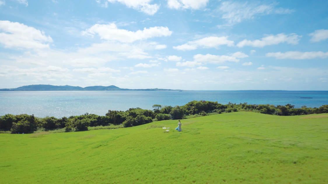 新TV-CM「新緑のグリーンラベル篇」より