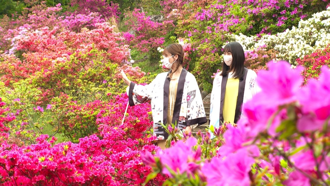 『ぐるり東京 江戸散歩』5月14日（土）放送より