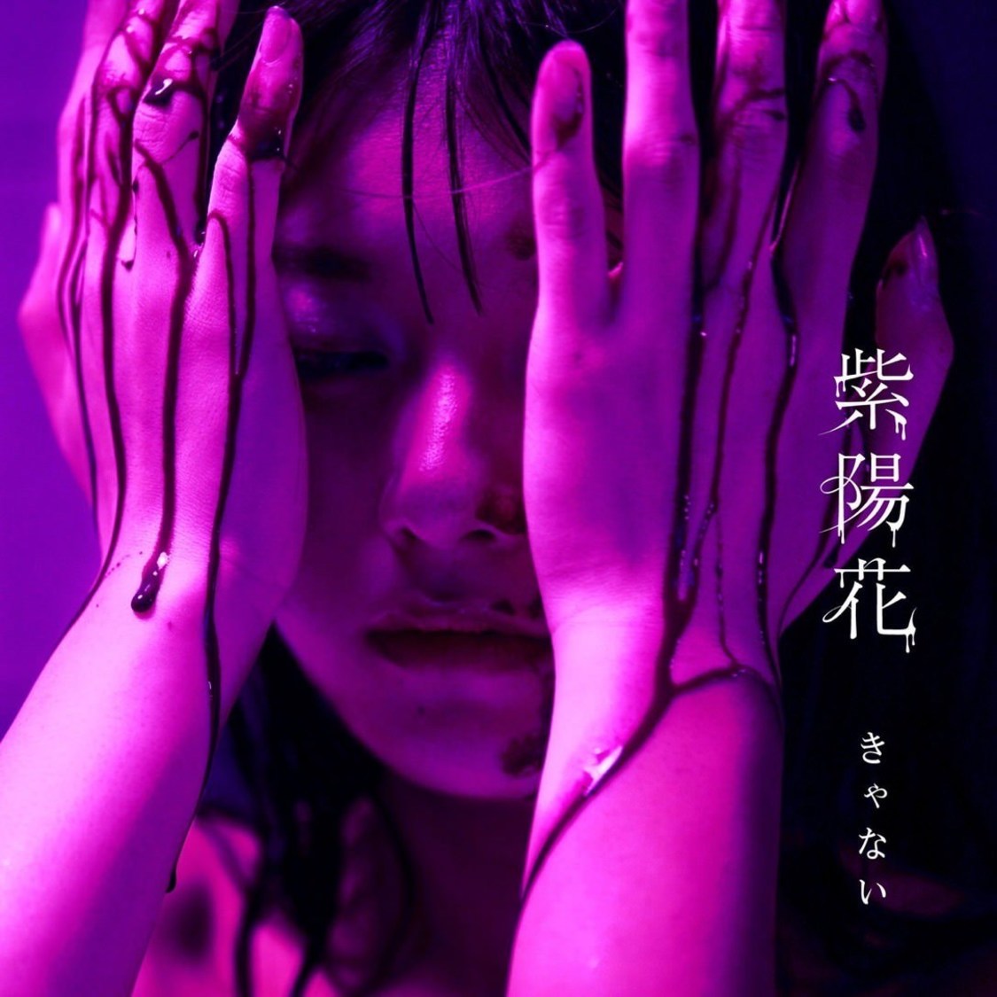 きゃない「紫陽花」