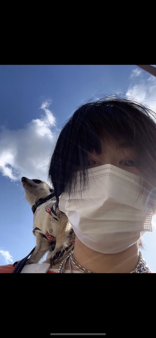 最近天気がよい日が続くので、相棒のメロくとお散歩に行きました！