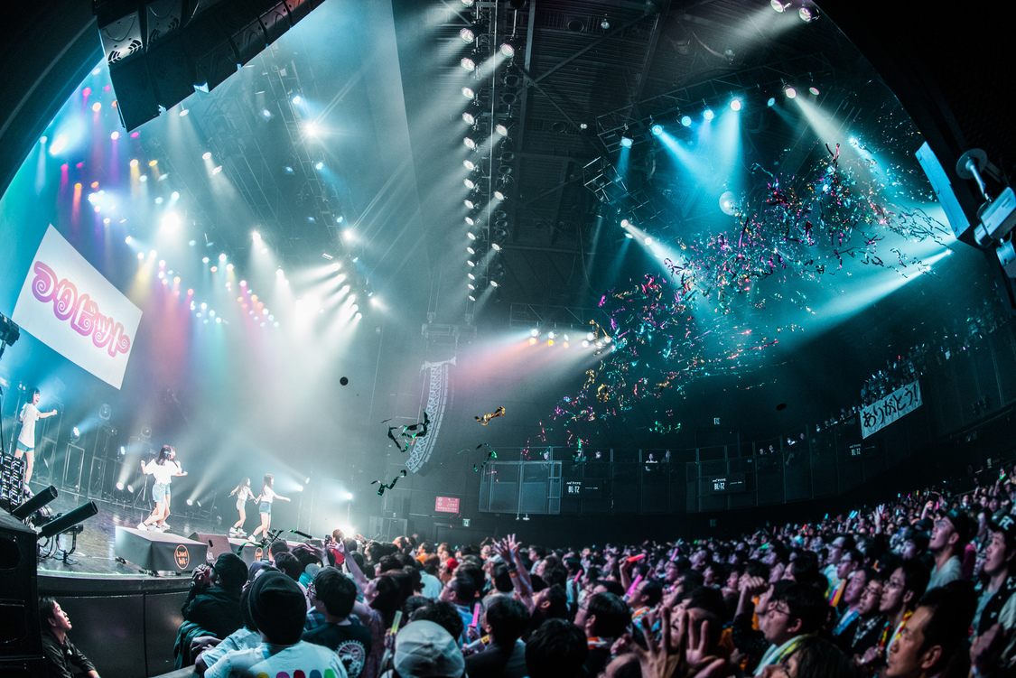 つりビットラストライブ〜Sail Away〜│2019/3/24 マイナビBLITZ赤坂