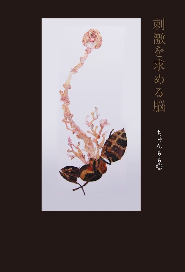 『刺激を求める脳』カバー