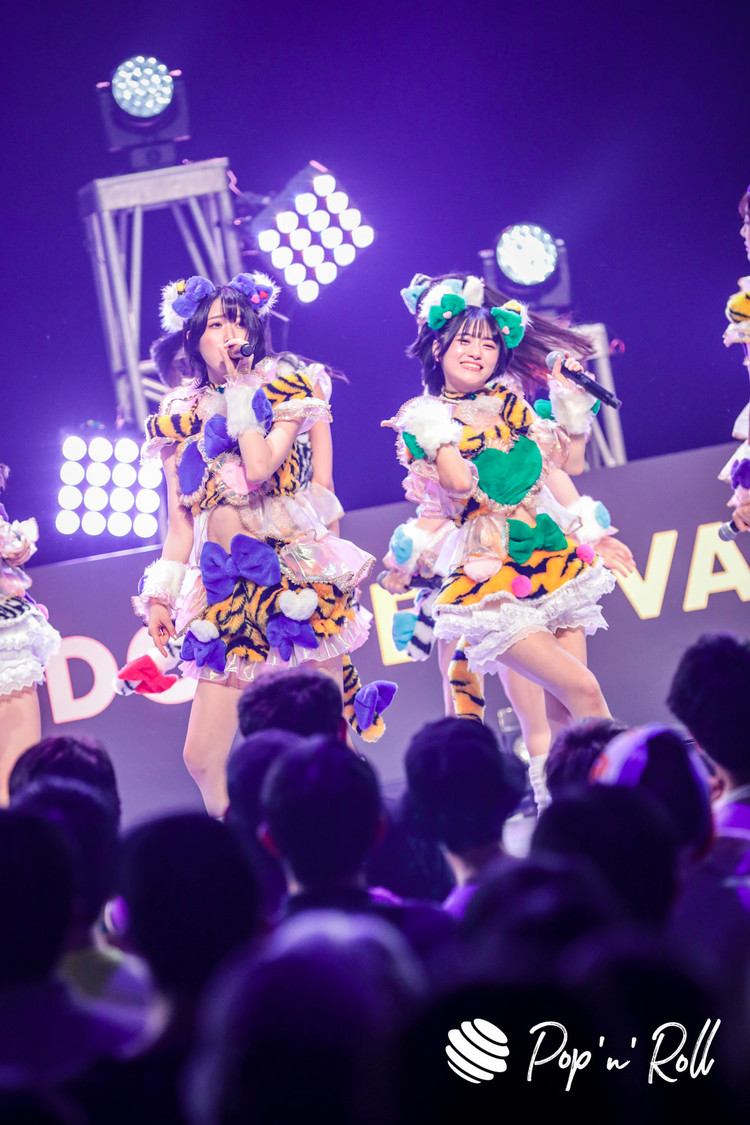 虹のコンキスタドール＜TOKYO IDOL FESTIVAL 2022 supported by にしたんクリニック＞DOLL FACTORY（2022年8月6日）