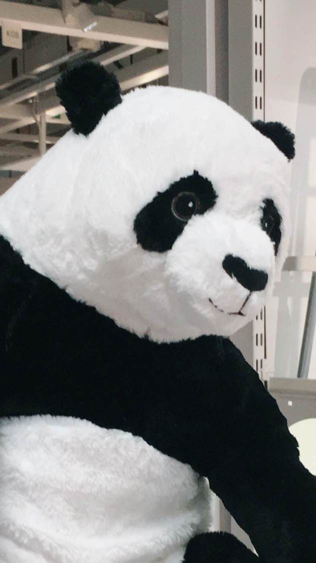 笹ぱんだ S.E.P代表／「ReNY SUPER LIVE」「アイドルよ覚醒せよ」等 〇〇SUPER LIVEの仕掛人