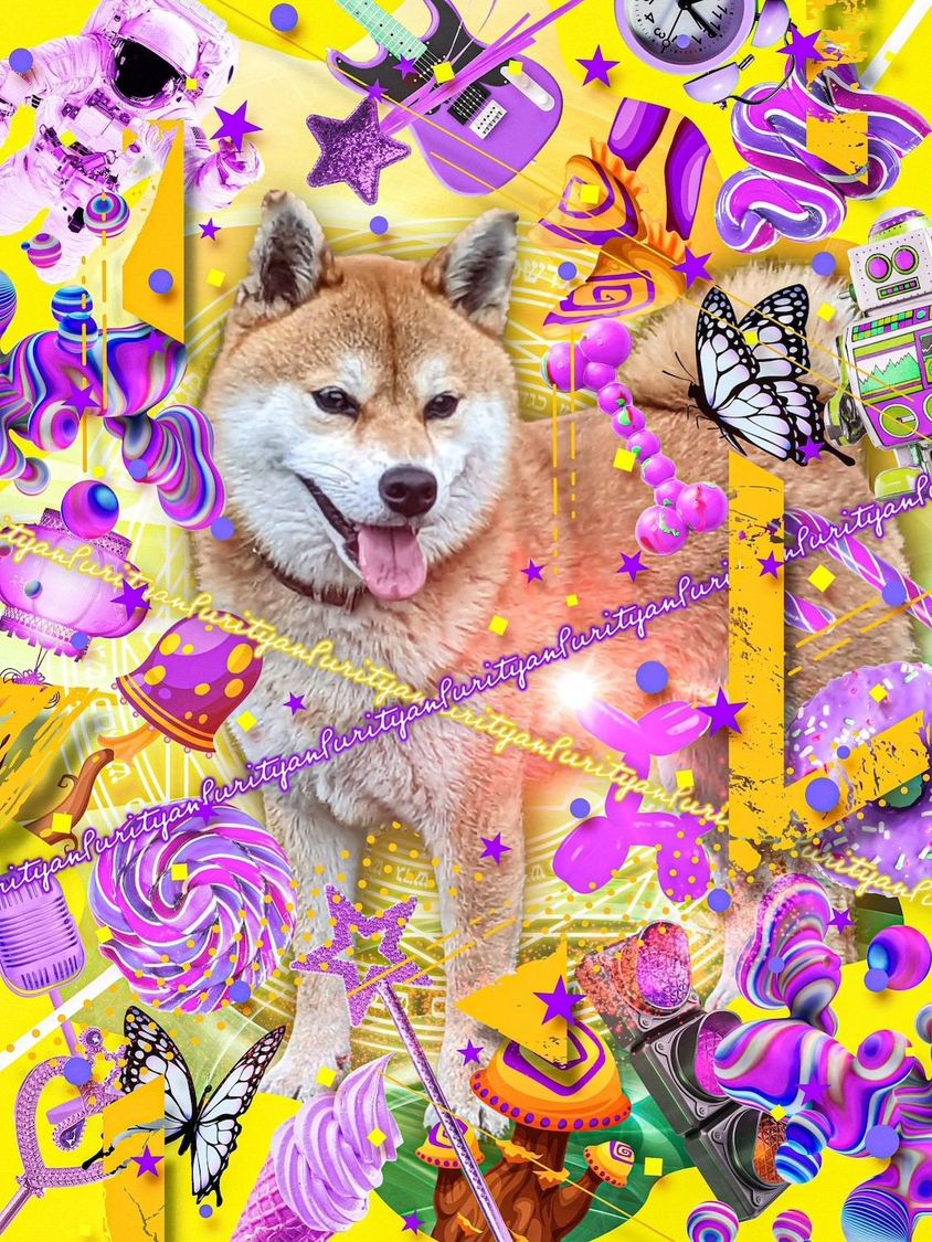 プリちゃん（柴犬）