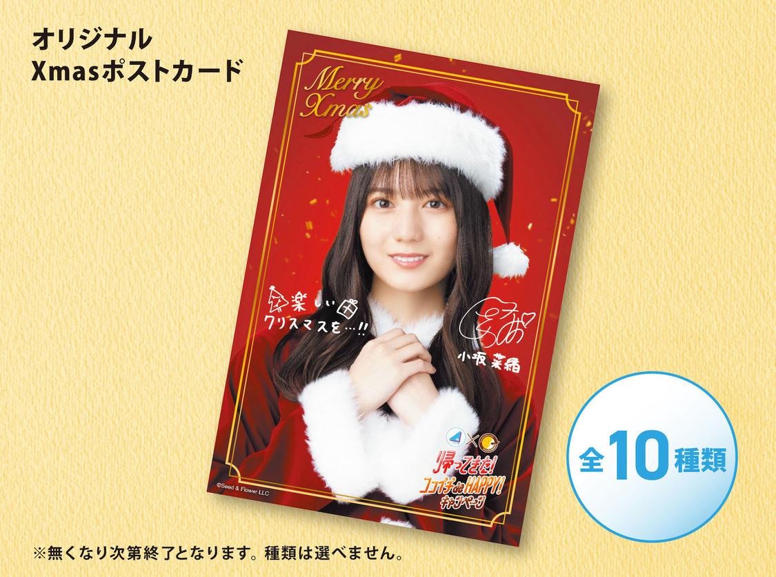 ポストカード ©Seed&Flower LLC 