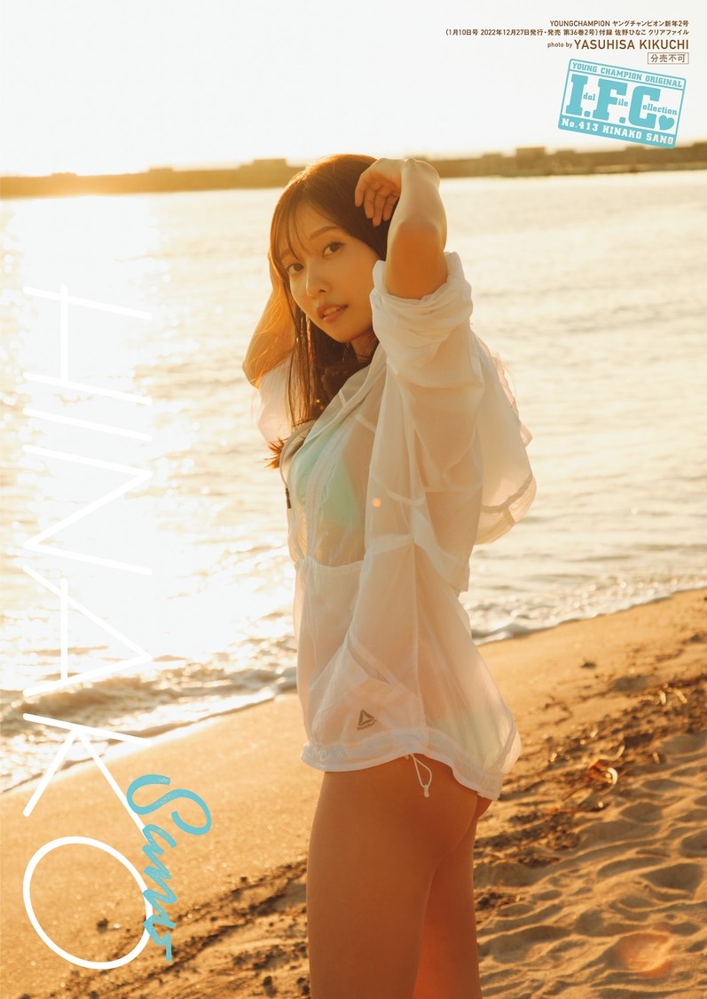 佐野ひなこ『ヤングチャンピオン』新年No.2クリアファイル（Ⓒ菊地泰久（秋田書店））