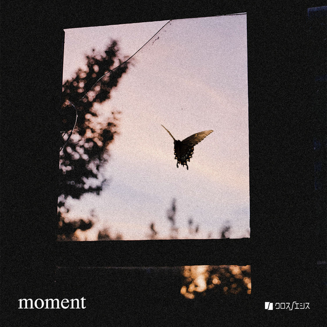 クロスノエシス『moment』ジャケット
