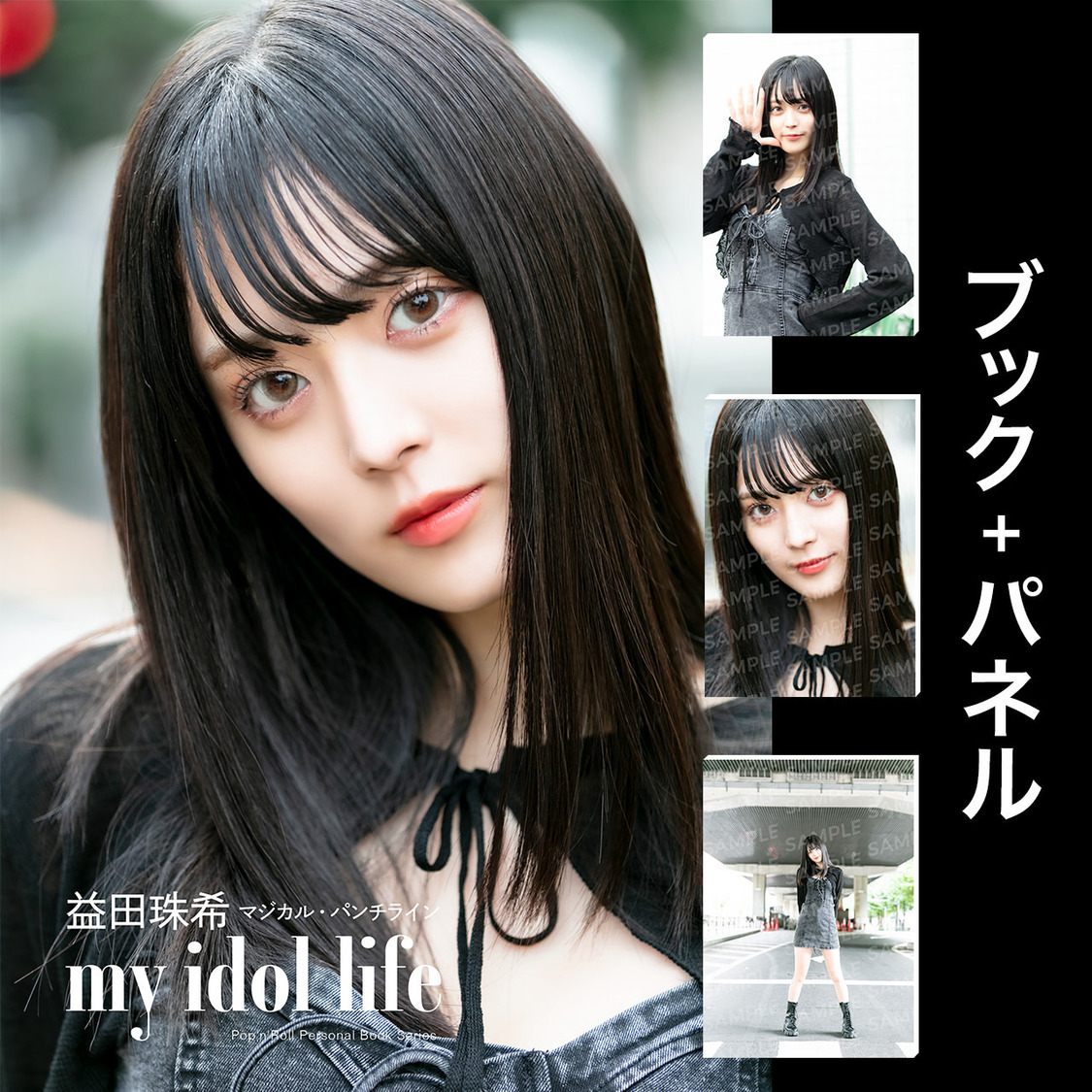 デジタルパーソナルブック＋A3パネル単品（Type A〜C）