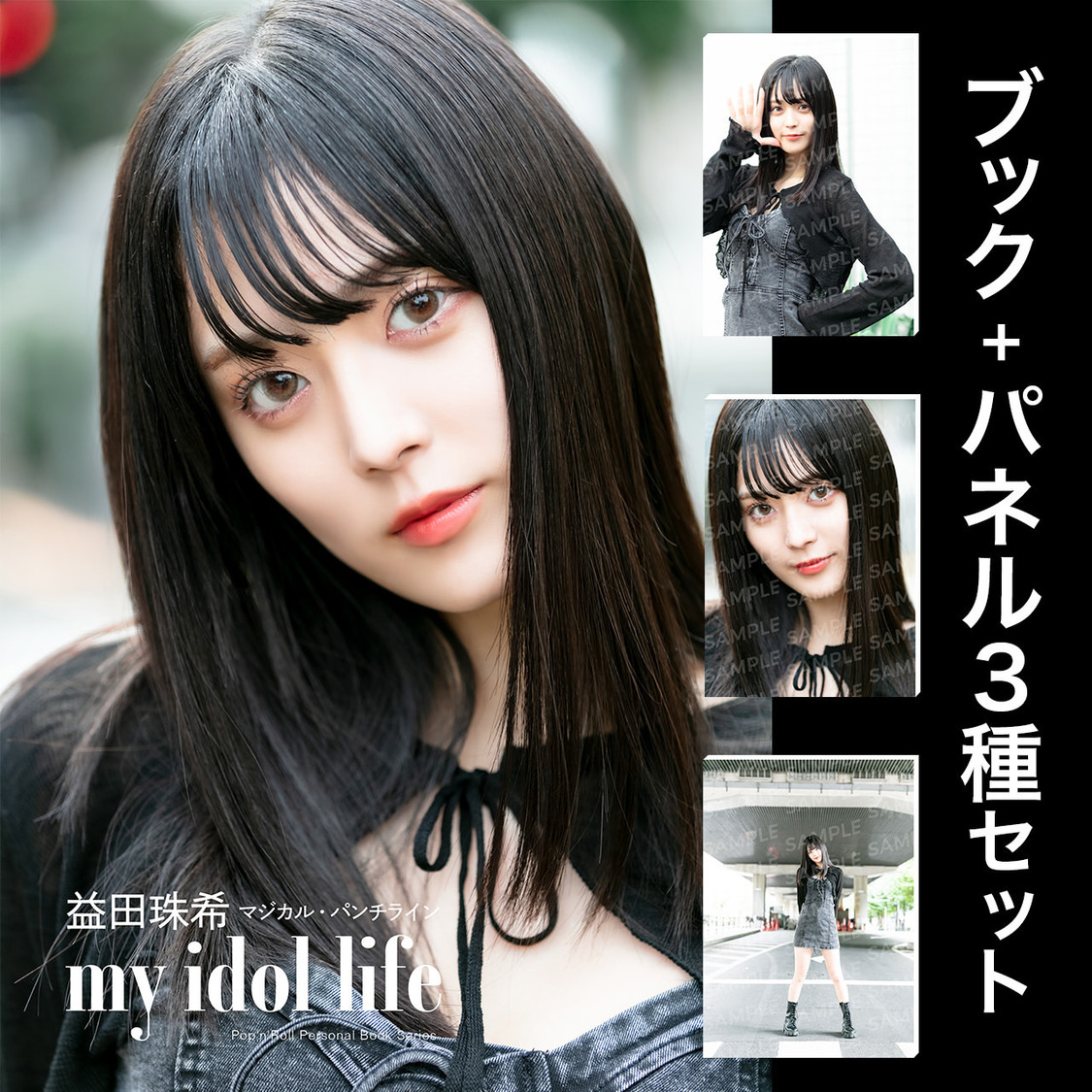 デジタルパーソナルブック＋A3パネル3枚コンプリートセット