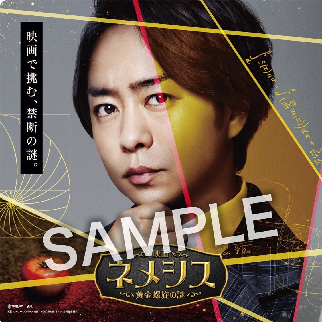 『映画 ネメシス 黄金螺旋の謎』ムビチケ購入者特典・特製クリアファイル（©2023映画「ネメシス」製作委員会）