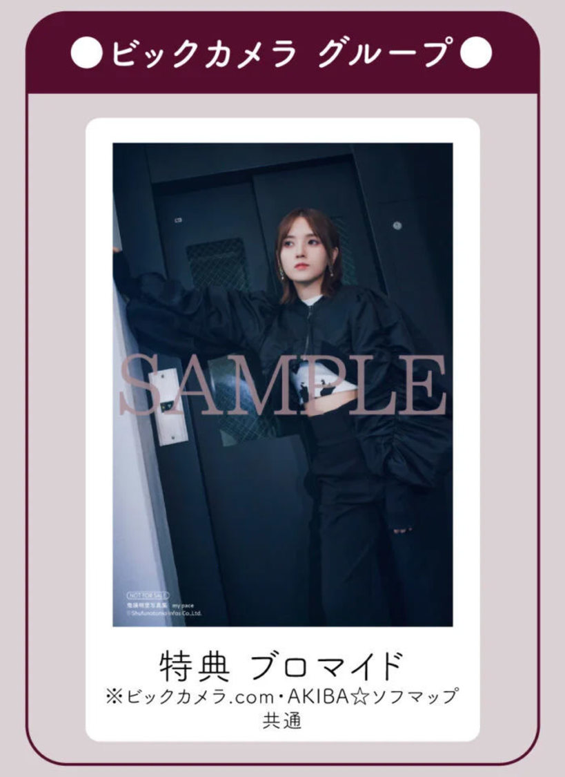 ビックカメラ特典