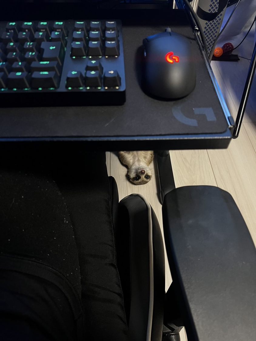 このコラムを書いてる時のメロです。