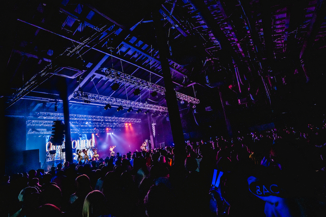 シュレーディンガーの犬