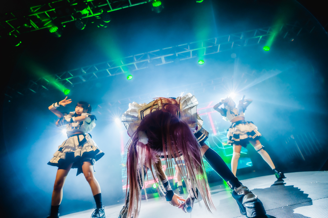 シュレーディンガーの犬