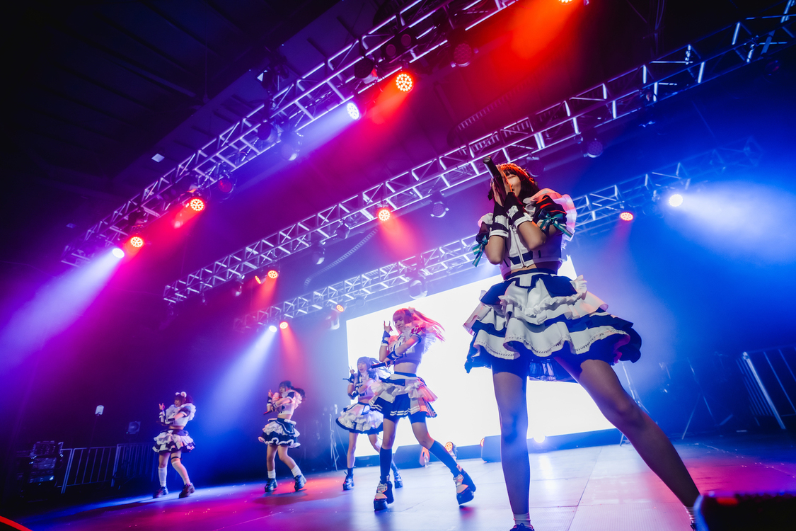 シュレーディンガーの犬