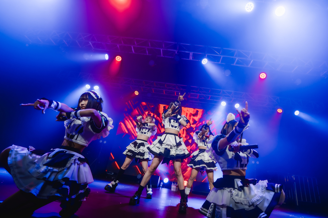 シュレーディンガーの犬