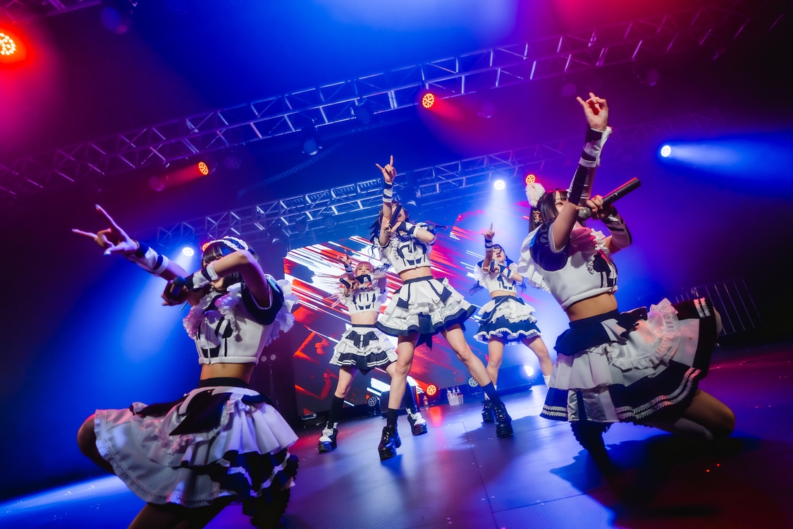 シュレーディンガーの犬