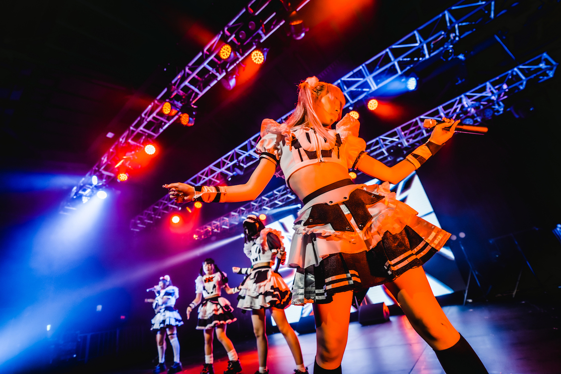 シュレーディンガーの犬