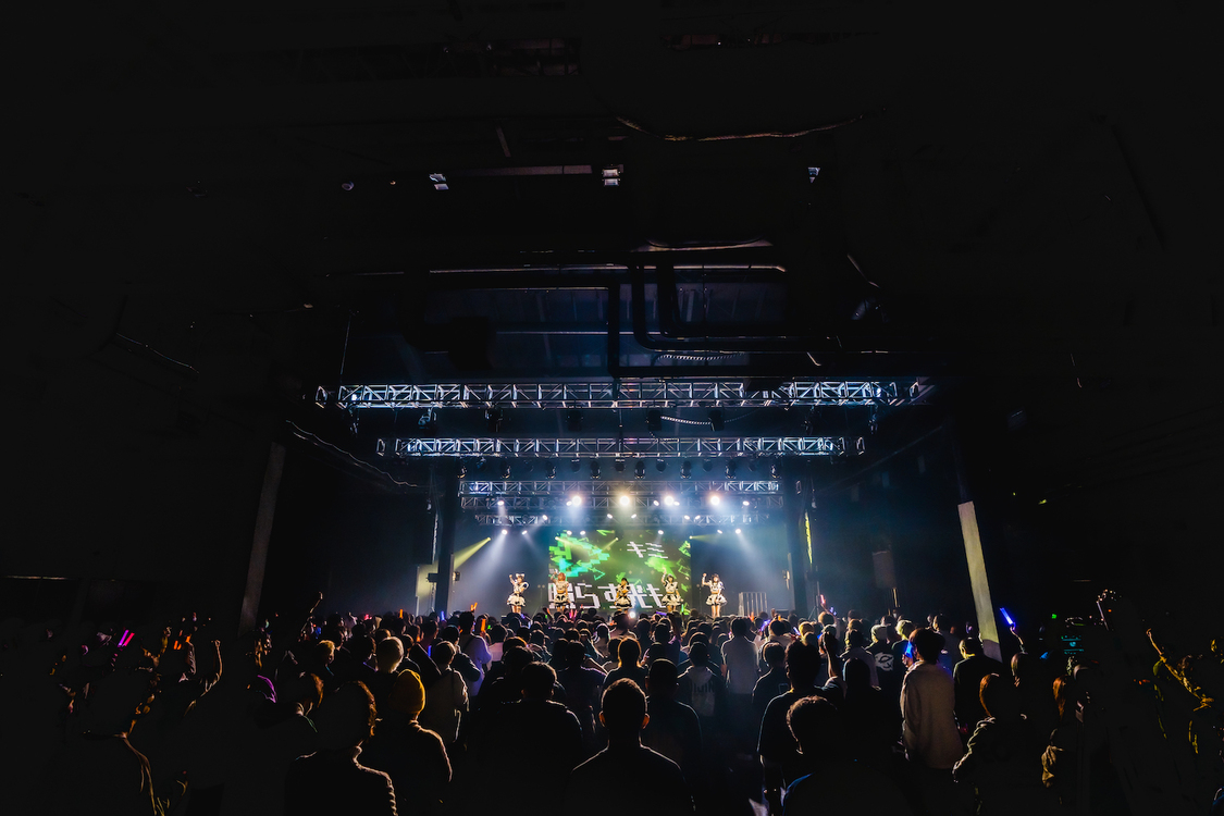 シュレーディンガーの犬