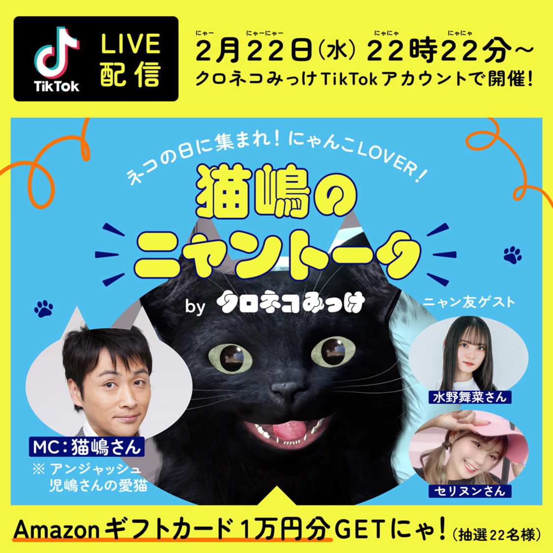 TikTok LIVE「猫嶋のニャントーク」