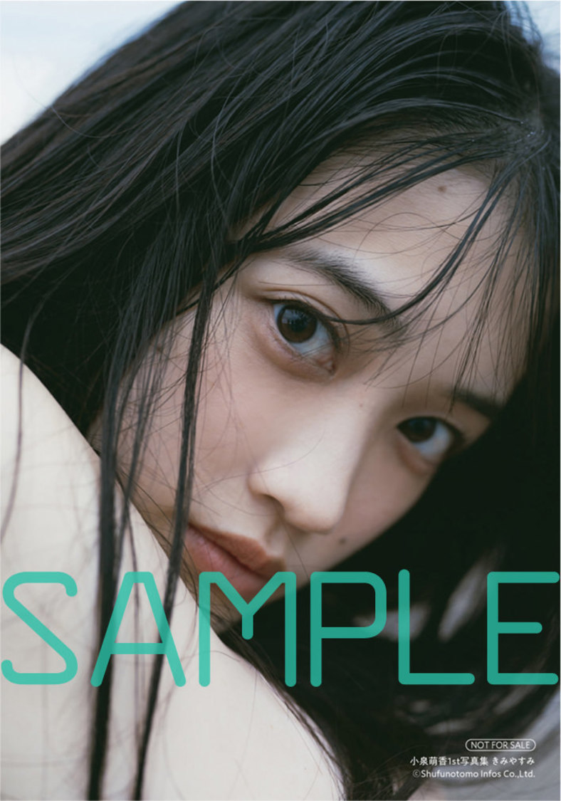 ブロマイド1種（通常版・限定版共通）