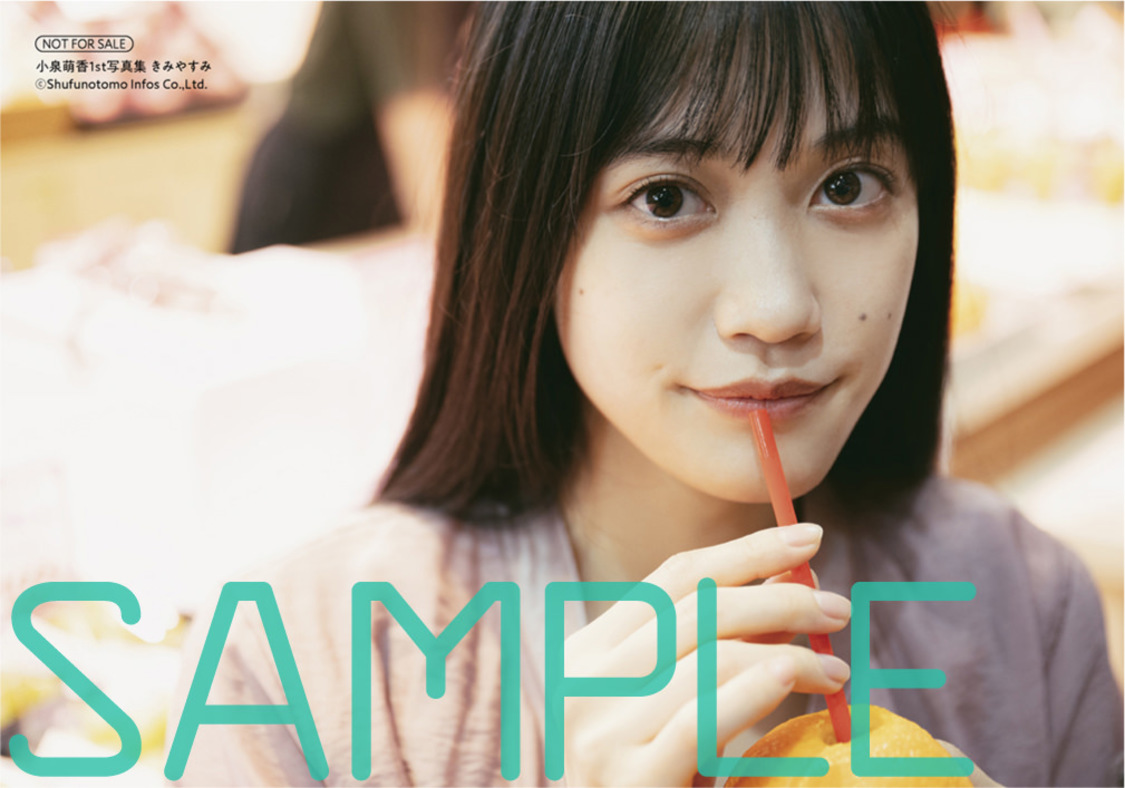 ビックカメラグループブロマイド