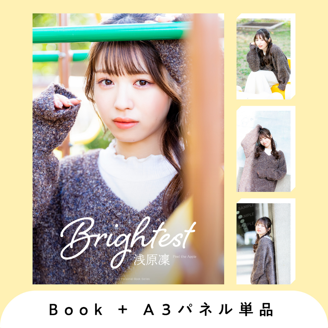 デジタルパーソナルブック＋A3パネル単品（Type A〜C）