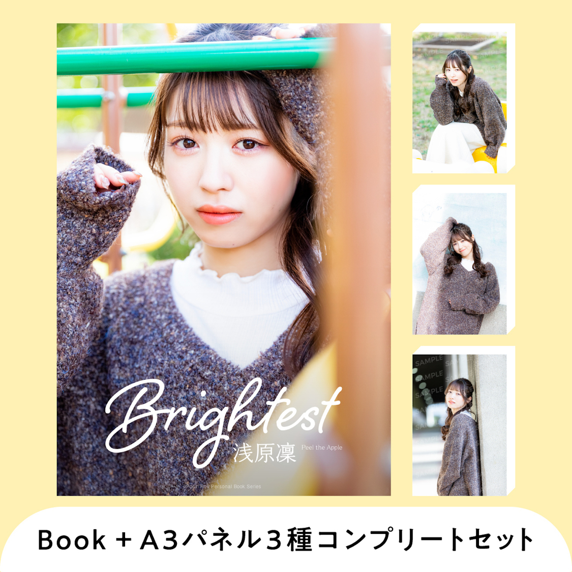 デジタルパーソナルブック＋A3パネル3枚コンプリートセット