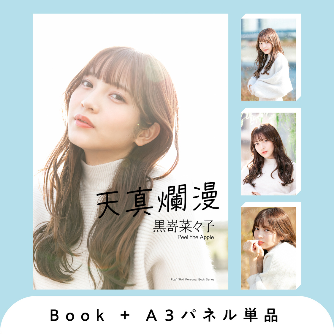 デジタルパーソナルブック＋A3パネル単品（Type A〜C）