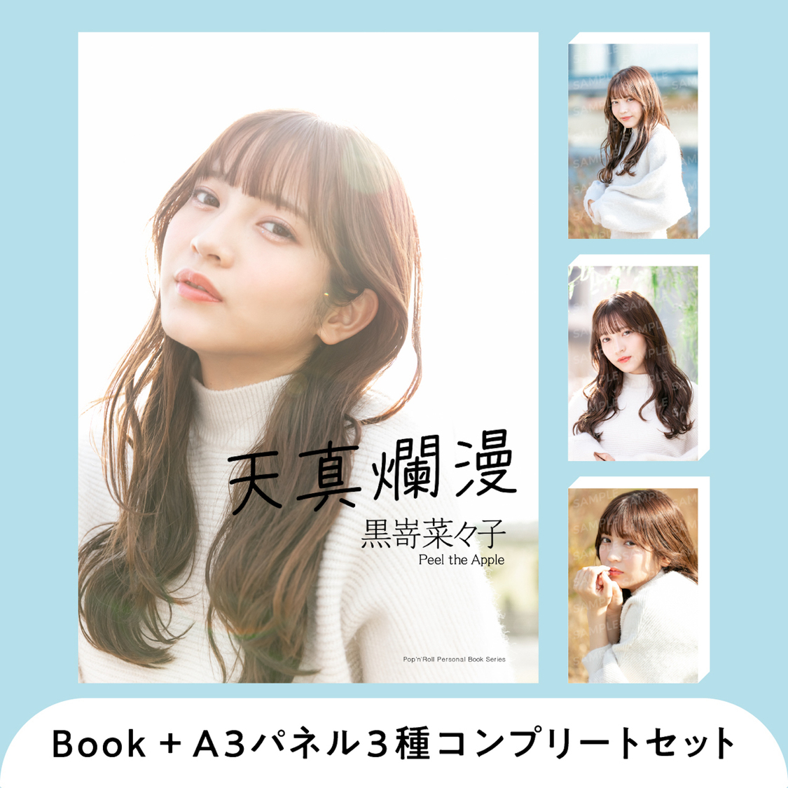 デジタルパーソナルブック＋A3パネル3枚コンプリートセット