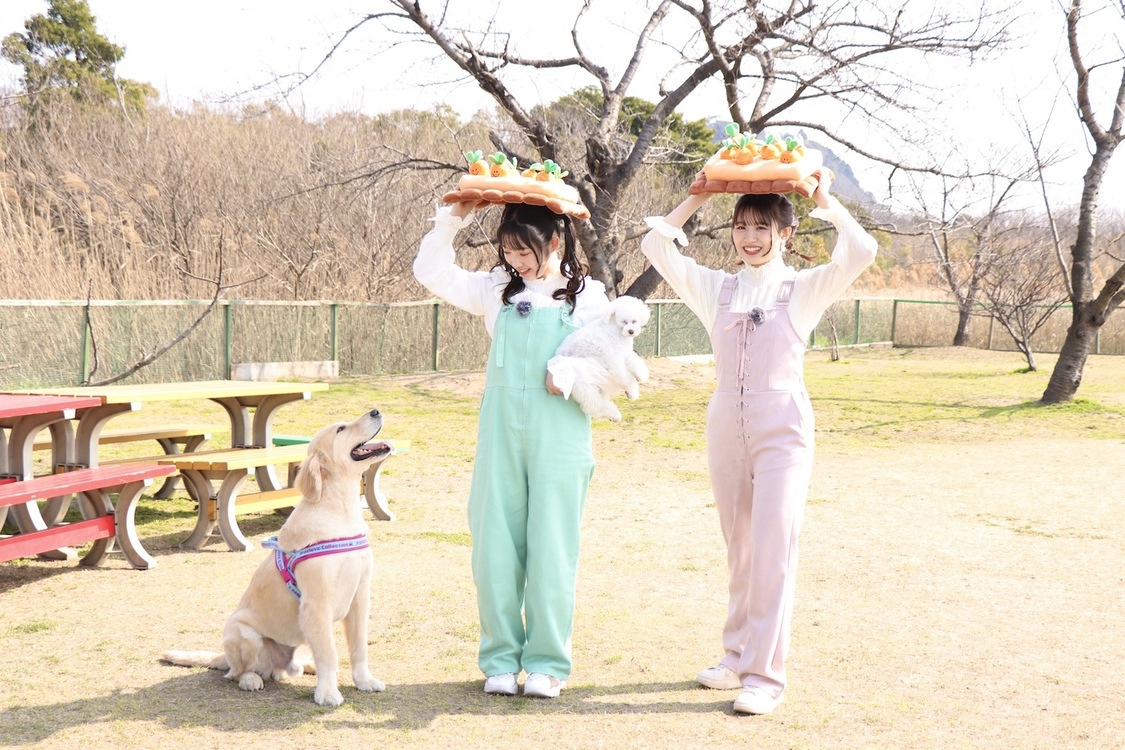 CSテレ朝チャンネル1『【ハロプロWEEK】つばきファクトリー浅倉樹々 卒業特番～ちばーずwithエルディ～』より