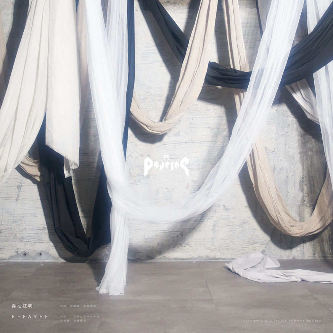 Payrin’s「存在証明/トトトカマトト」