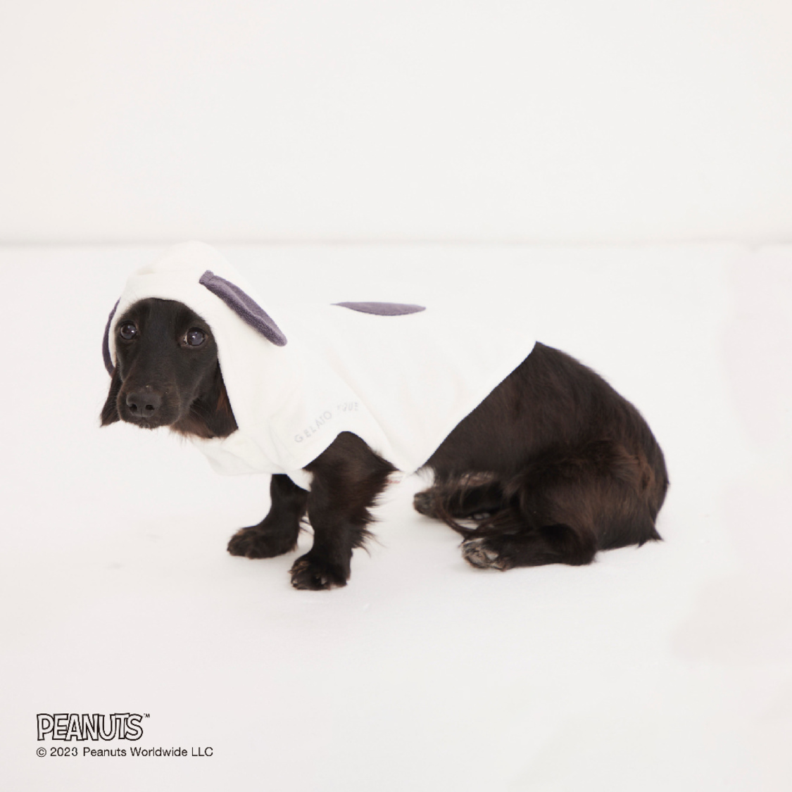 © 2023 Peanuts Worldwide LLC