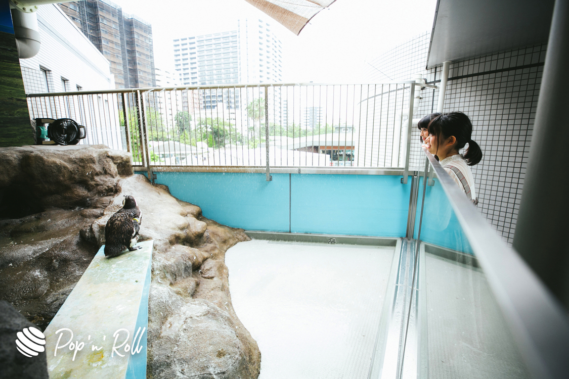 寺嶋由芙、原田珠々華