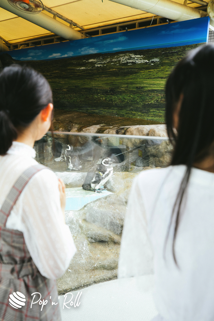 寺嶋由芙、原田珠々華