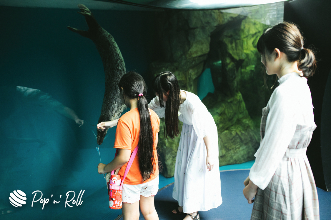 寺嶋由芙、原田珠々華