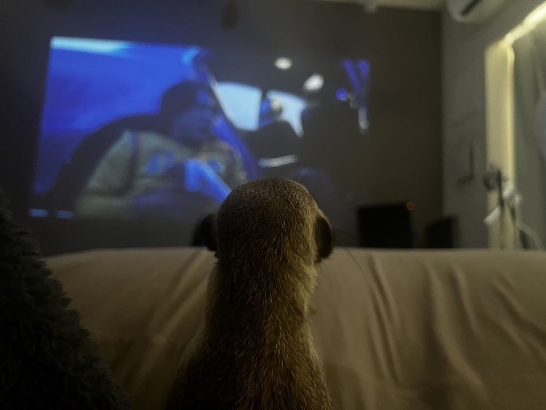 『悪魔を見た』を観るニア。ニアもコラム書いてくれないかなあ。