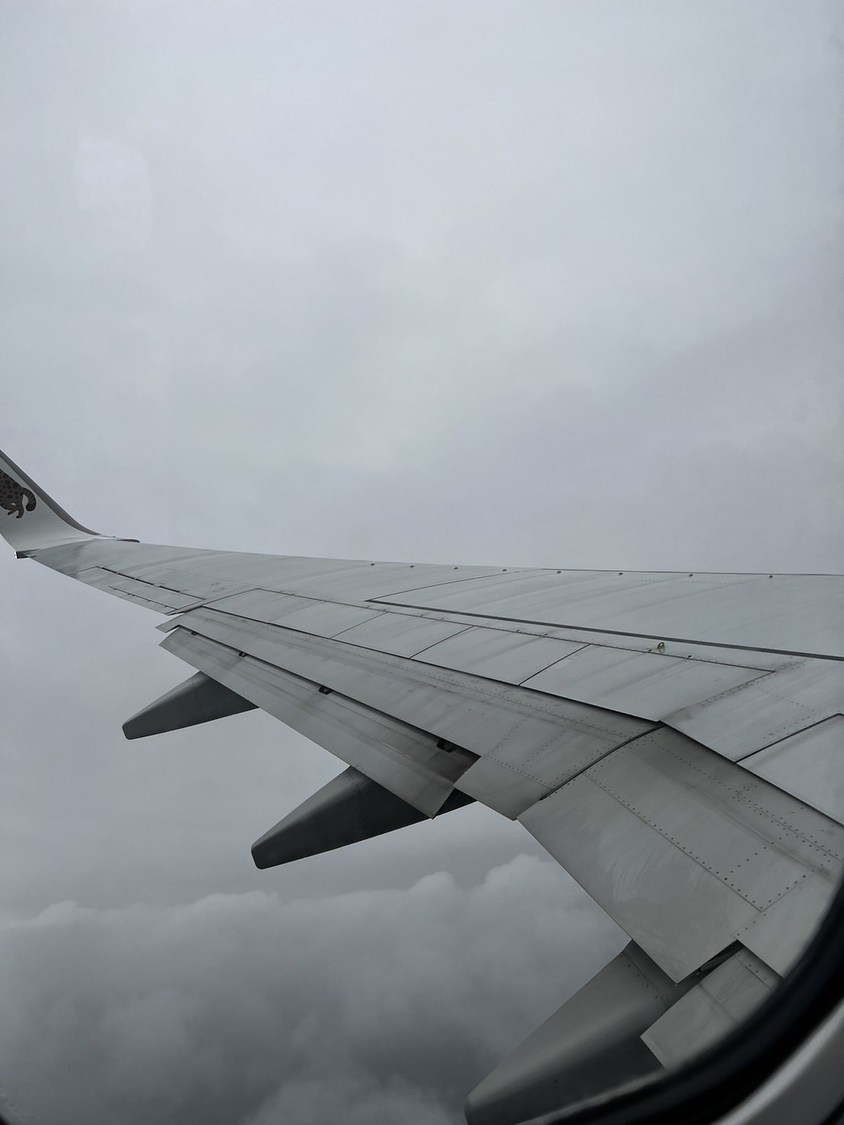 ロケ先からこのコラムを書いています！　最近『非常宣言』を鑑賞したので、飛行機が少し怖いです。