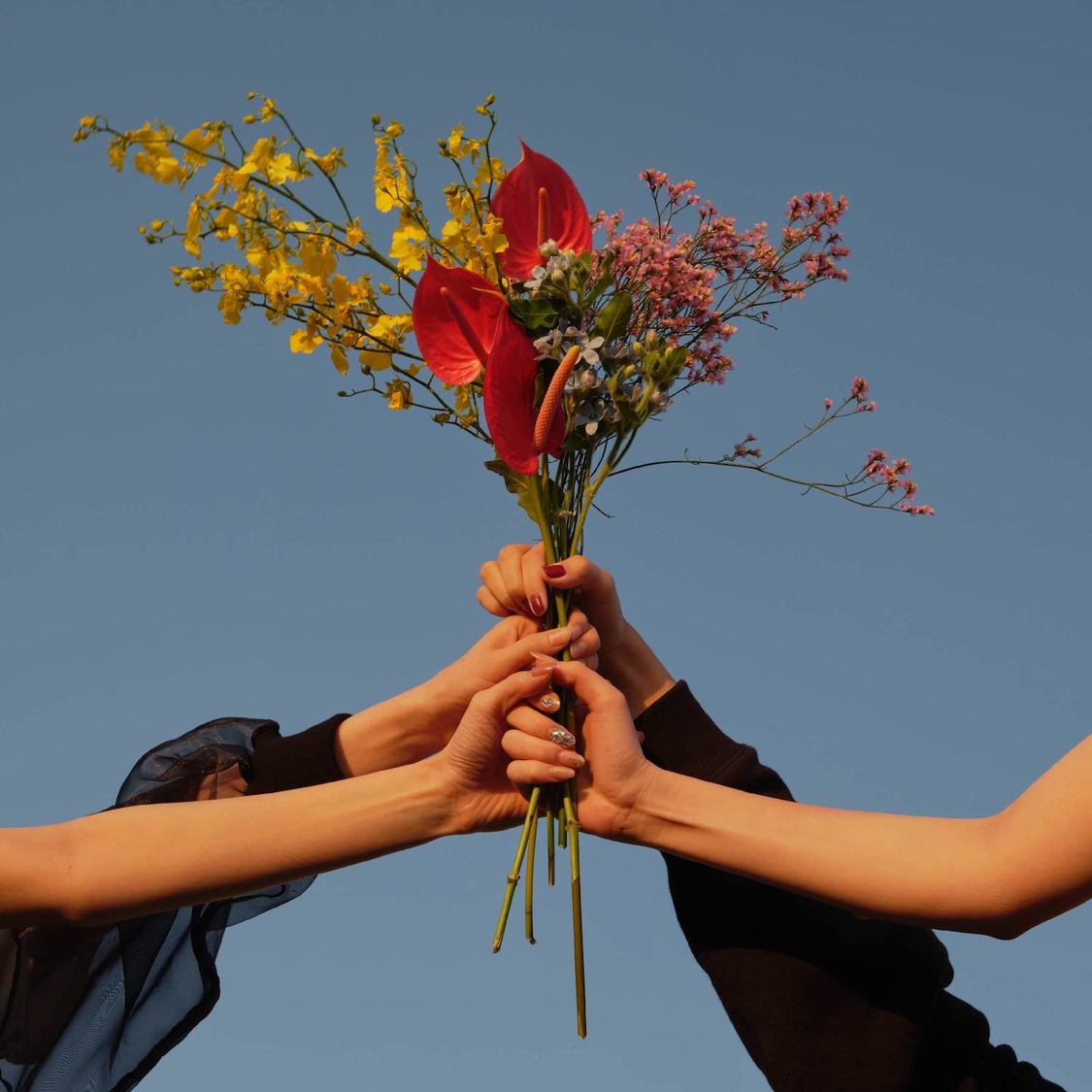 Youplus『流星群』通常盤