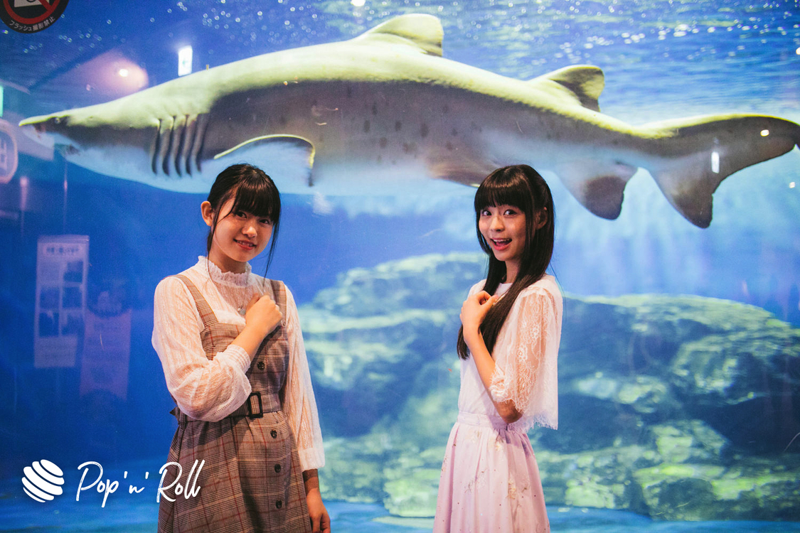 原田珠々華（サメ）寺嶋由芙