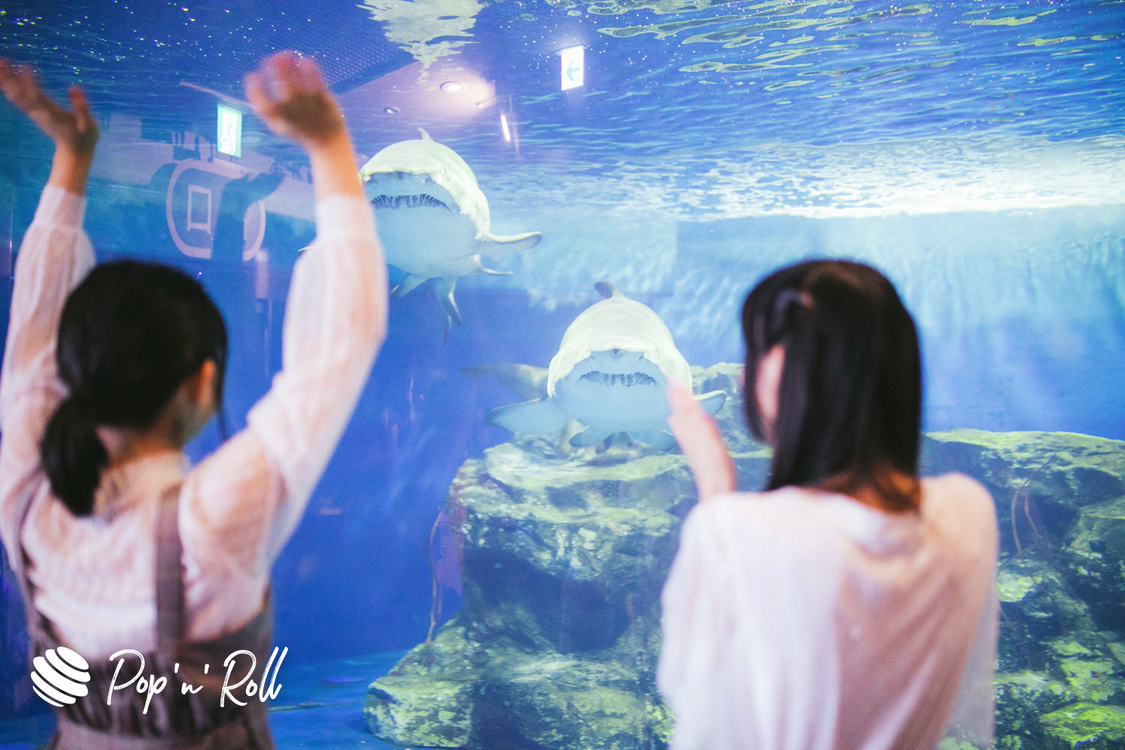 原田珠々華（サメとサメ）寺嶋由芙